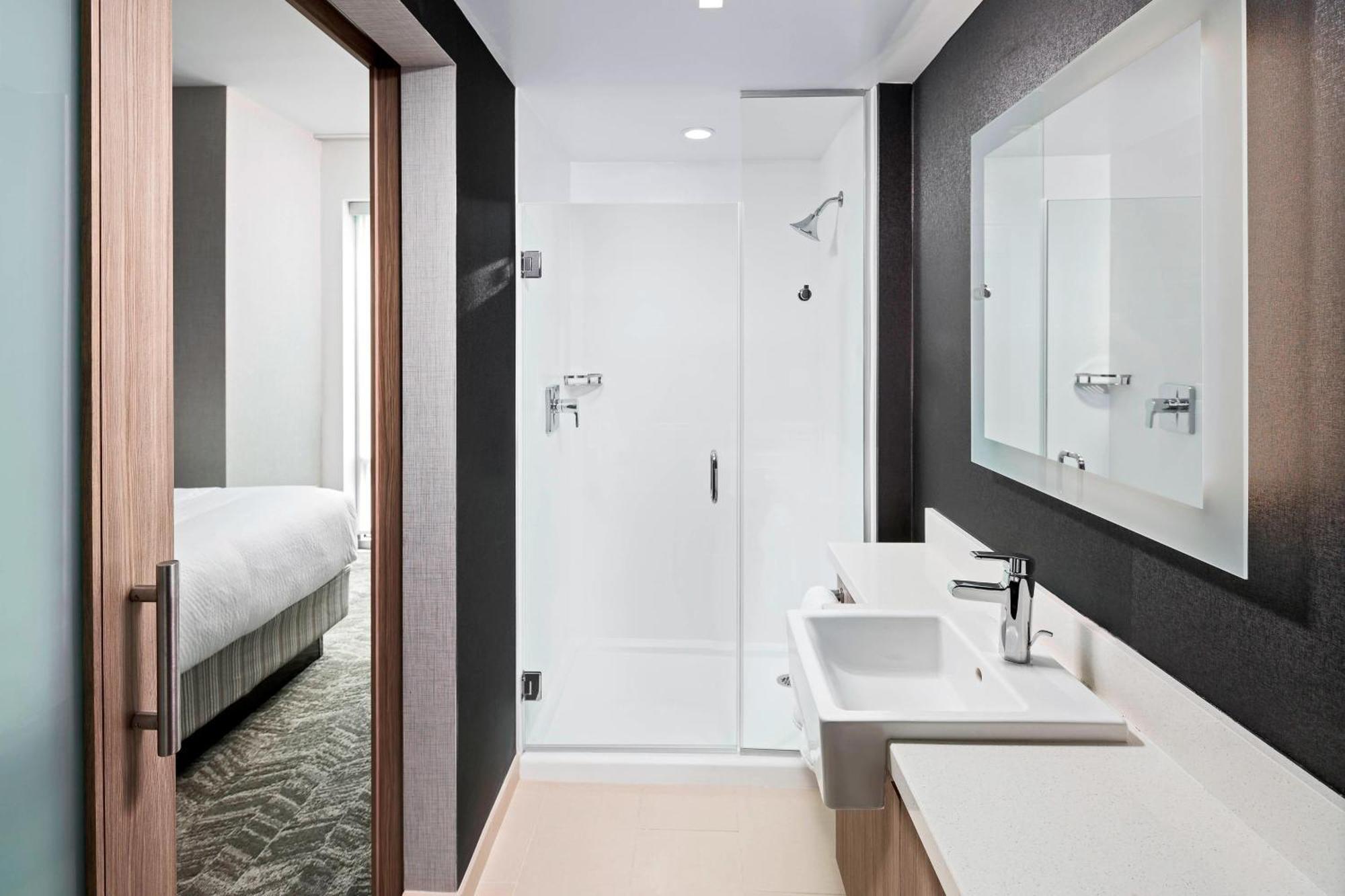 Springhill Suites By Marriott Greenville Downtown מראה חיצוני תמונה